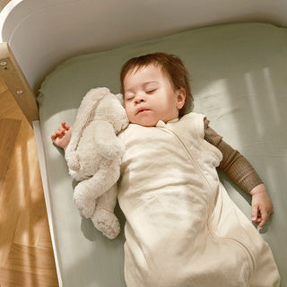 Understanding the Moro/Startle Reflex