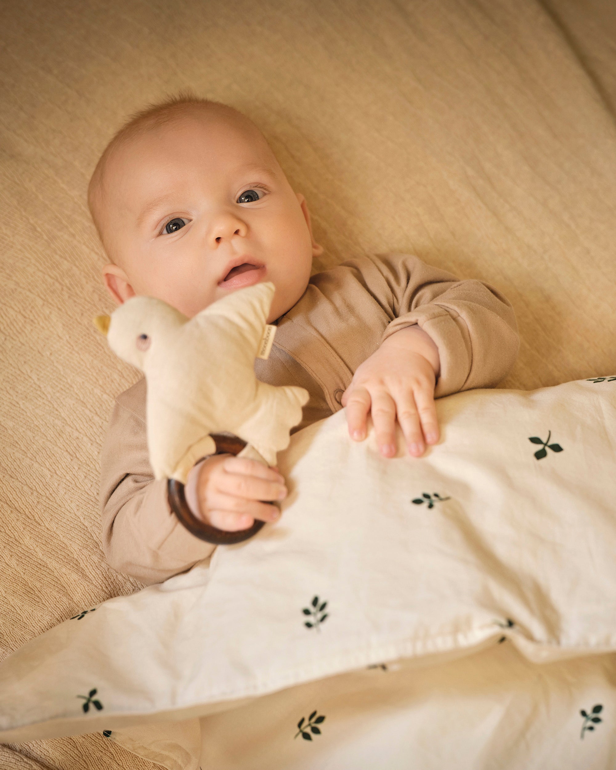 Baby Rsttle Baby rattle with a Soft, Cute Little Bird & Smooth Wooden Ring